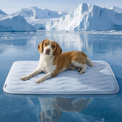 Cooling Mat for Dogs and Cats