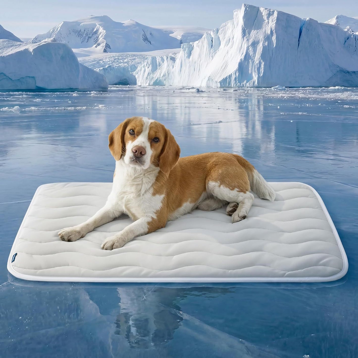 Cooling Mat for Dogs and Cats